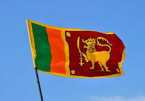 श्रीलंकामा राजापाक्षेले गरे १७ सदस्यीय मन्त्रीमण्डल गठन