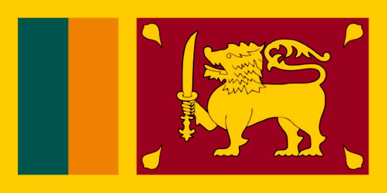 आर्थिक संकटबाट गुज्रिएको श्रीलंकामा पेट्रोल तथा डिजेल बिक्रीमा सीमा निर्धारण