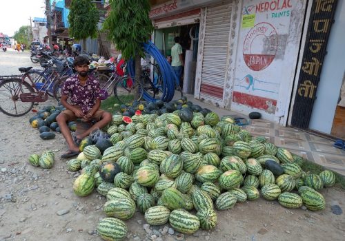 खरबुजाकाे भाउ घट्यो, मारमा किसान