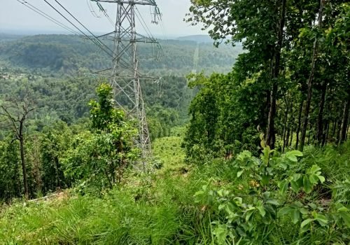 भरतपुर-बर्दघाट २२० केभी प्रसारण लाइनको आंशिक खण्ड सञ्चालनमा आयो