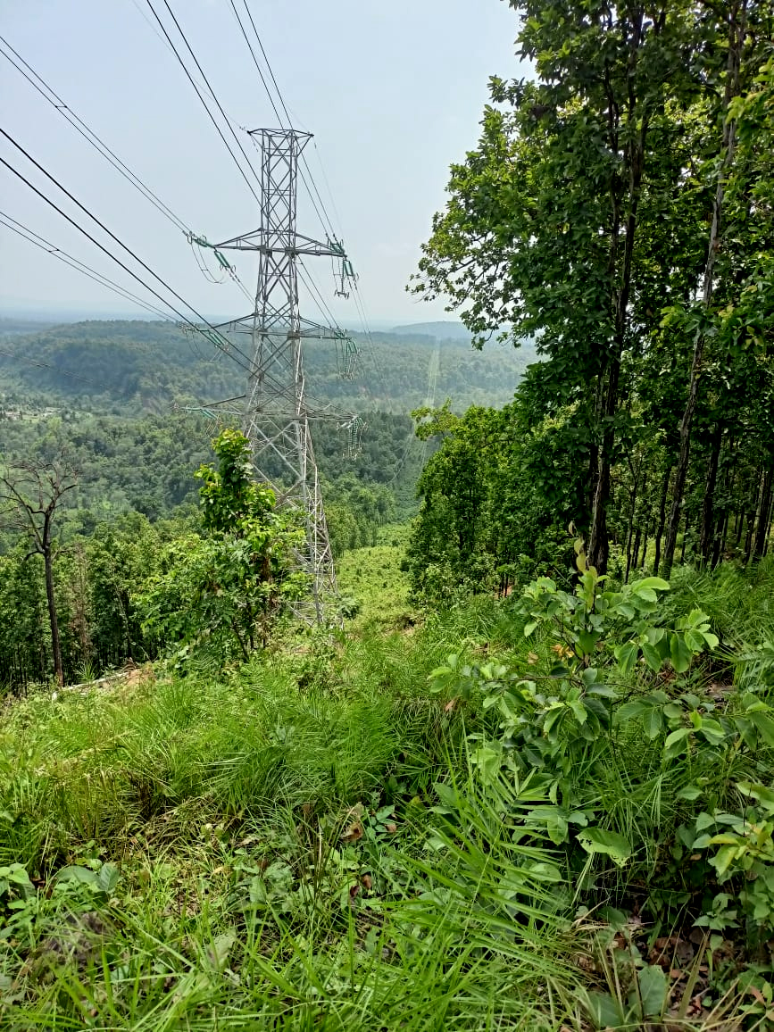 भरतपुर-बर्दघाट २२० केभी प्रसारण लाइनको आंशिक खण्ड सञ्चालनमा आयो