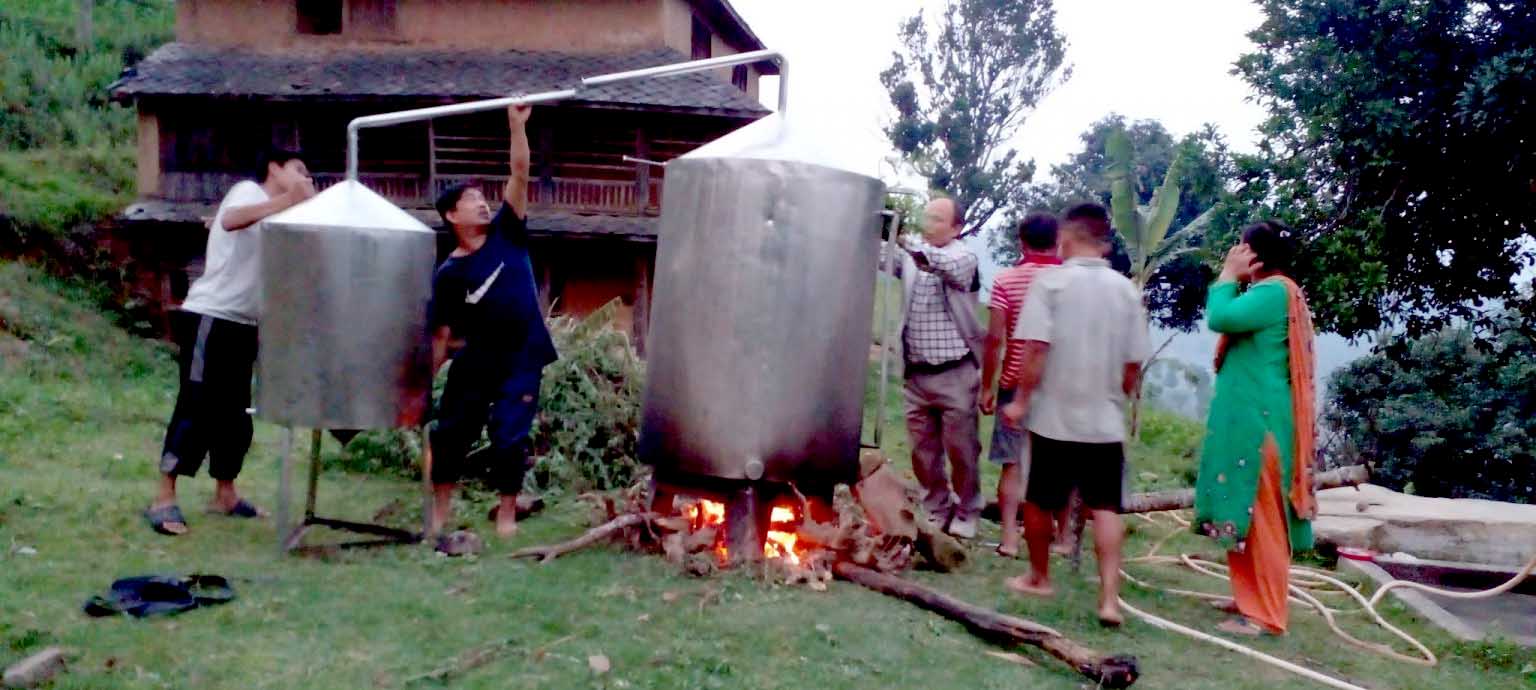 धादिङमा तितेपाती र गाईतिहारेको तेल उत्पादन सुरु