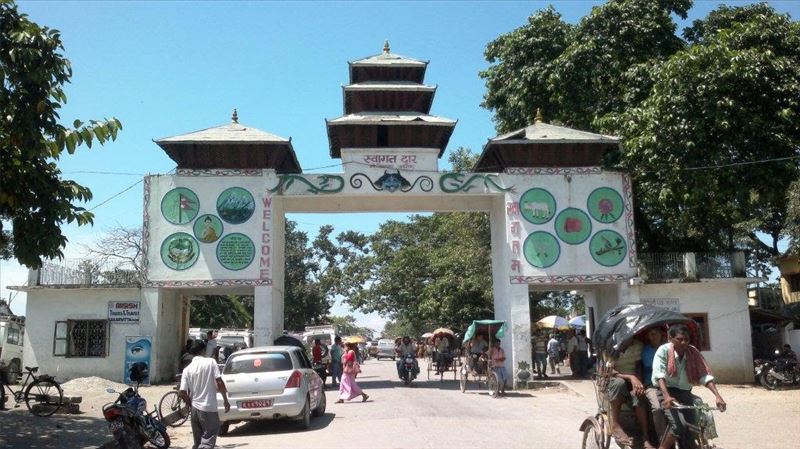 कृषिजन्य सामग्रीको निर्यातभन्दा आयात बढी