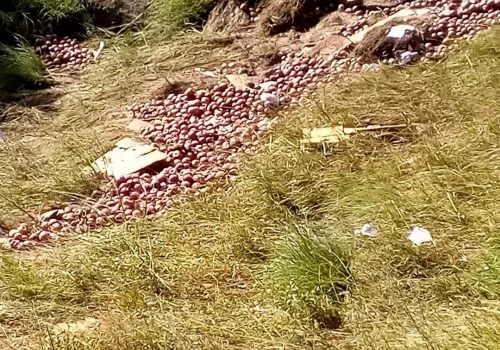 जुम्लामा स्याउ बोकेको ट्रक दुर्घटना, एकको मृत्यु