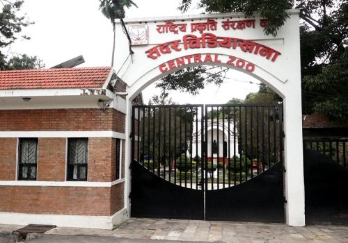 चिडियाखाना अवलोकन गर्नेको सङ्ख्या बढ्दै