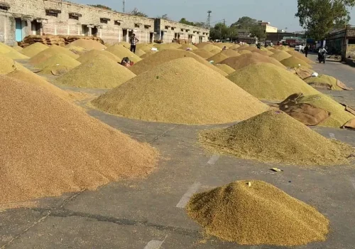जग्गा बेच्दै धान किनेर खाने बढे