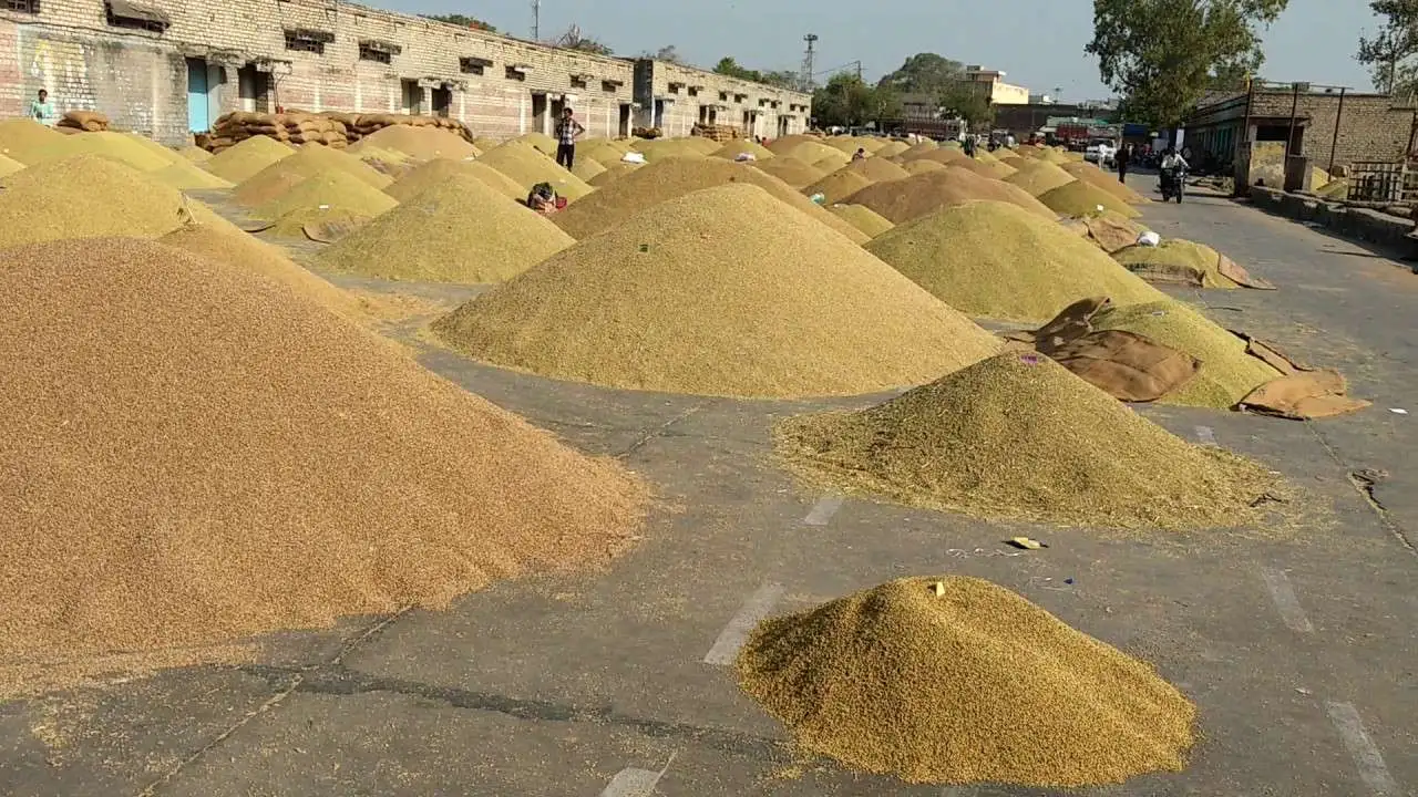जग्गा बेच्दै धान किनेर खाने बढे