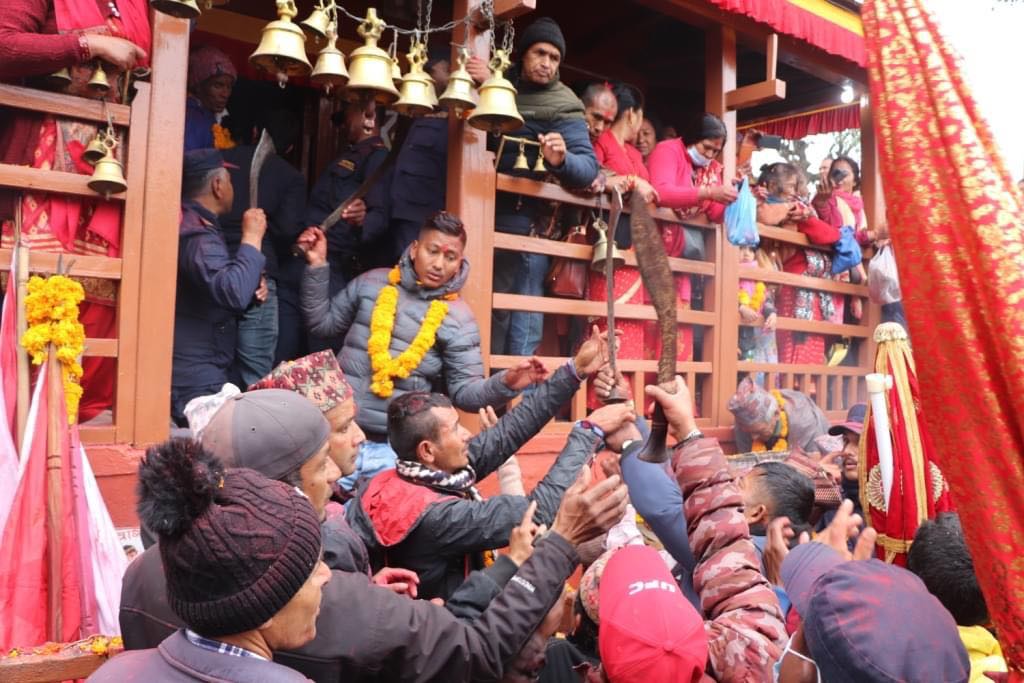 धादिङमा तामझाम र बाजागाजा सहित माईत झरिन त्रिपुरासुन्दरी भगवतीमाई