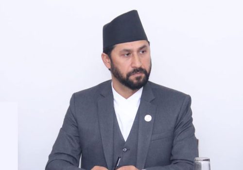 सिङ्गो देश परिवर्तनको पक्षमा :  सभापति लामिछाने