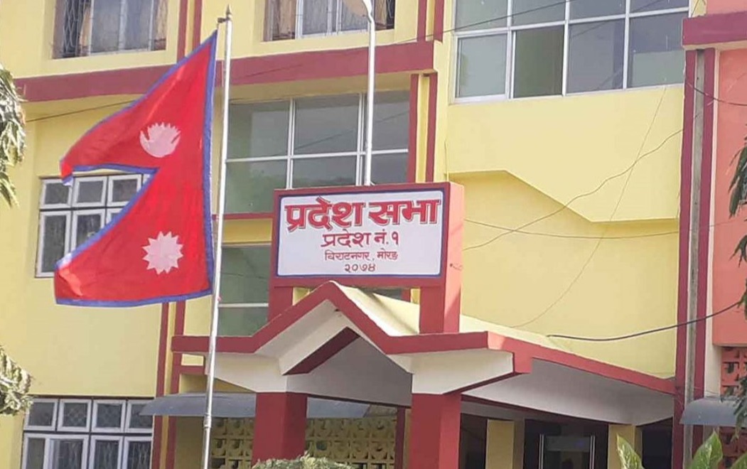 प्रदेश १ को नाम कोसी पारित, पक्षमा ८२ जनाले हात उठाए