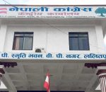 कांग्रेस केन्द्रीय कार्यसम्पादन समितिको बैठक आइतबार