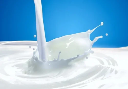 आज विश्व दूध दिवस मनाइँदै