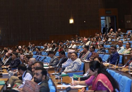 प्रतिनिधिसभाबाट विनियोजन विधेयक, २०८० बहुमतले पारित