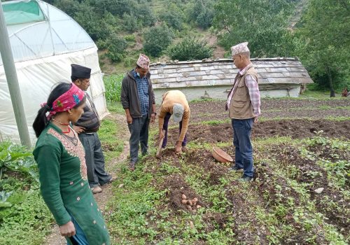 अब मजदुरी गर्न भारत जाँदैनन् आनन्दपुरका किसान