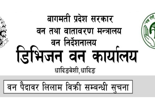 वन पैदावर लिलाम विक्री सम्बन्धी डिभिजन बन कार्यालय धादिङको सुचना