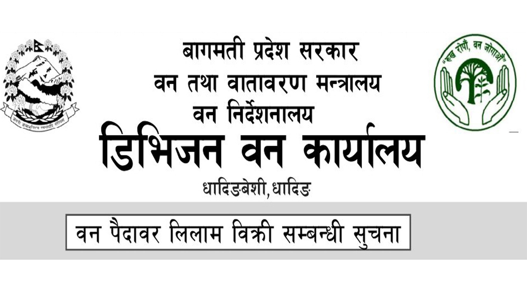 वन पैदावर लिलाम विक्री सम्बन्धी डिभिजन बन कार्यालय धादिङको सुचना