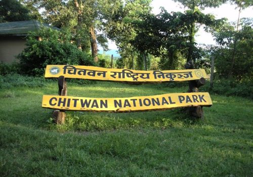 चितवन राष्ट्रिय निकुञ्जद्वारा एकसय ४२ वन्यजन्तुको उद्धार