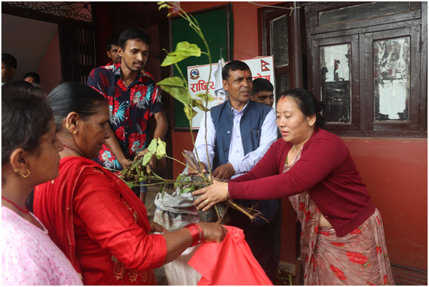किसानलाई घाँसका बिरुवा वितरण
