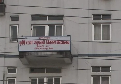 विपद् प्रभावित किसानलाई एक करोड ५७ लाख ७५ हजार राहत वितरण