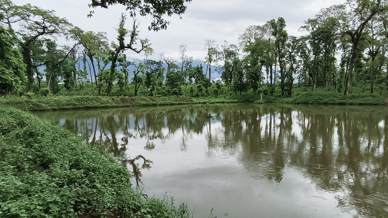 वन्यजन्तुका लागि सामुदायिक वनमा पोखरी