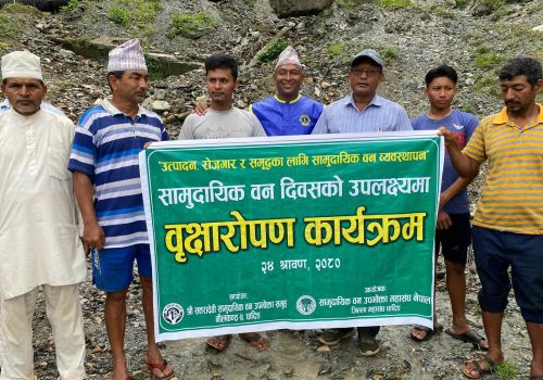 धादिङमा सामुदायिक वन दिवसको अवसरमा बृक्षारोपण