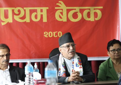 माओवादी केन्द्रद्वारा आइसिटी फोरमको गठन