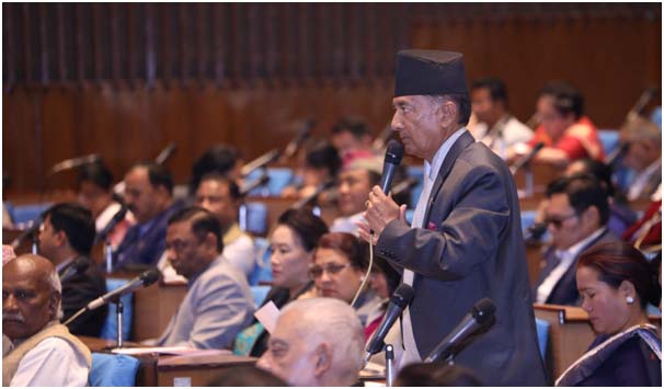 डेङ्गी रोग रोकथामका लागि प्रभावकारी कदम चाल्न संसद्मार्फत सरकारको ध्यानाकर्षण
