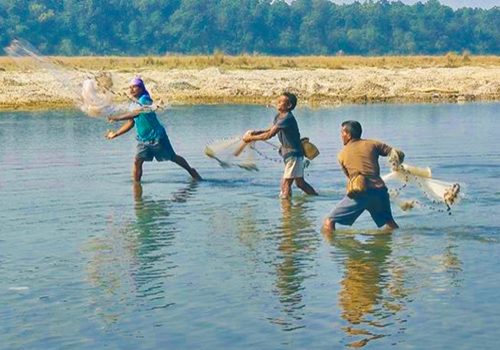 एक सय ९२ जनालाई राप्ती र नारायणी नदीमा माछा मार्न अनुमति