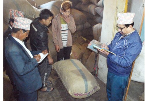 अलैँचीको मूल्यवृद्धिले किसान उत्साहित : गत वर्षभन्दा यस वर्ष दोब्बर बढी मूल्यमा कारोबार