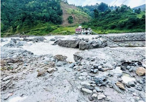 बाढीले अस्थायी पुल र सडकमा क्षति
