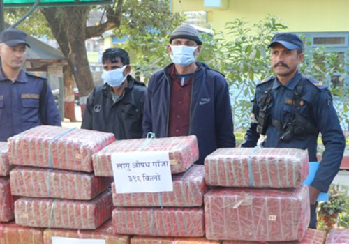 चार क्विन्टल गाँजासहित दुई भारतीय पक्राउ