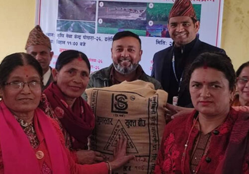 चैते धानको प्रवर्द्धन मार्फत खाद्यान्नमा आत्मनिर्भरता बढाउँदै पोखरा महानगर