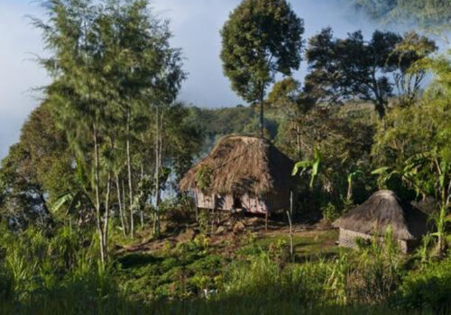 पपुवा न्यू गिनीको पहाडी इलाकामा भएको जातीय भिडन्तमा कम्तीमा ६४ जनाको मृत्यु