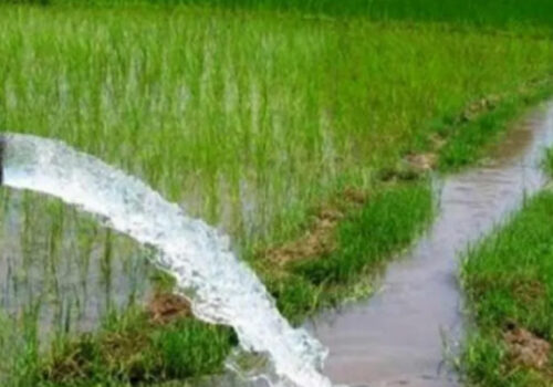 मकवानपुरमा सय साना सिँचाइ योजना सम्पन्न