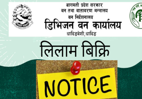डिभिजन वन कार्यालय धादिङको वन पैदावार लिलाम विक्री सम्वन्धि सूचना