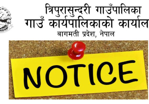 प्रारम्भिक वातावरणीय परिक्षण तयारी सम्बन्धि सार्वजनिक सुचना