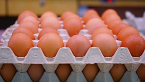 ‘अण्डा’को लागत मूल्य बढ्यो