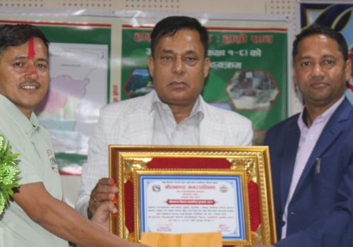 धादिङका क्रियाशिल पत्रकार नारायण सिलवाल पुरस्कृत