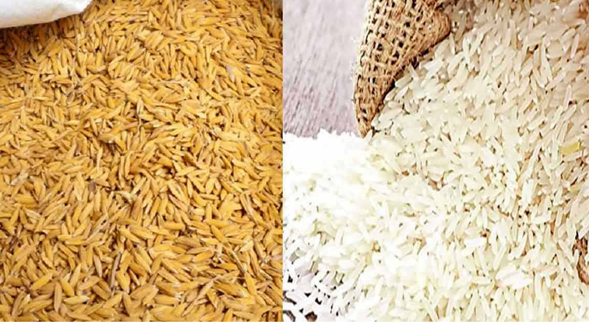 भारतले धान, चामल निर्यातमा कर लगाउँदा, आयात ह्वात्तै घट्यो