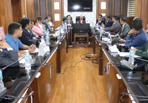 ‘विद्युत विद्येयकले निजी क्षेत्रका समस्यालाई सम्बोधन गर्नेछ’