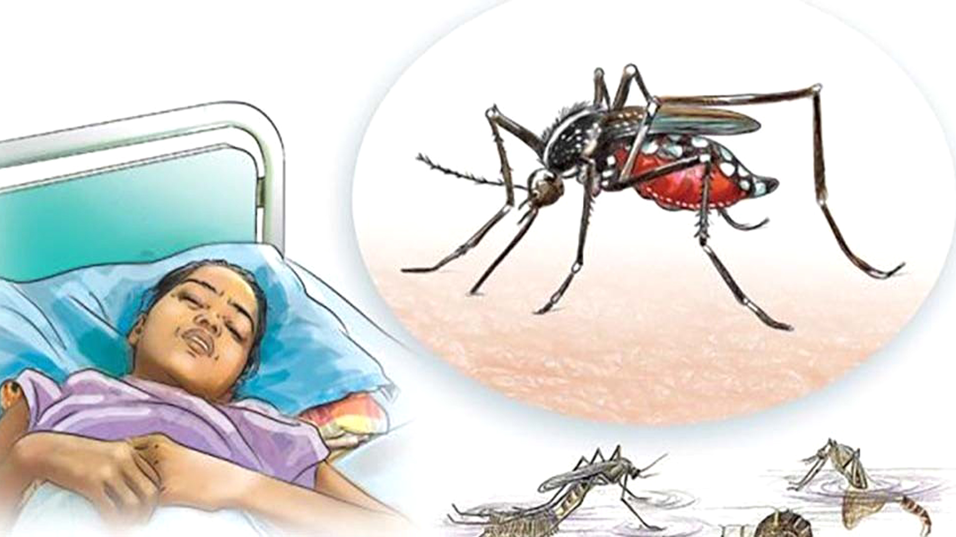 डेङ्गीको सङ्क्रमणबाट चितवनमा थप एक जनाको मृत्यु