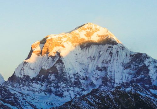 धौलागिरिमा ज्यान गुमाएका रसियन आरोहीको शव सङ्कलन थालियो
