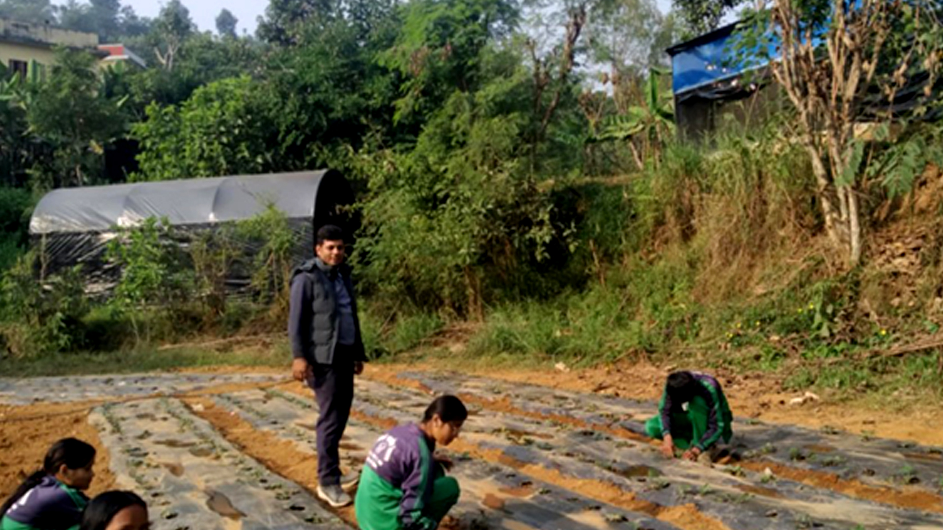 विद्यार्थीलाई आयआर्जनसँग जोड्न स्ट्रबेरी खेती