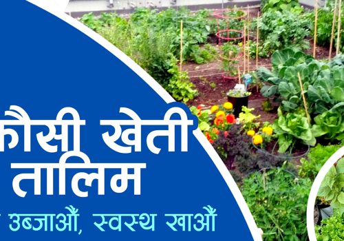 धादिङबेसीमा कौसी खेती तालिम हुँदै