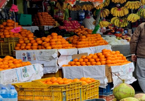 सुन्तला उत्पादन घटेपनि मूल्य वृद्धि हुँदा किसान उत्साहित