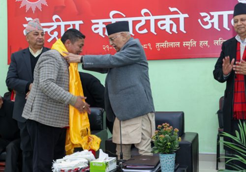 एकीकृत समाजवादीका केन्द्रीय सदस्य एमालेमा