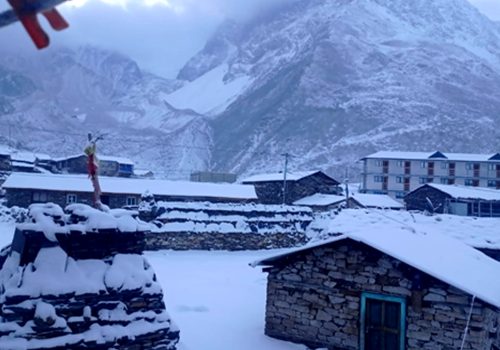 उत्तरी गोरखाको नुब्री भ्यालीमा हिमपात