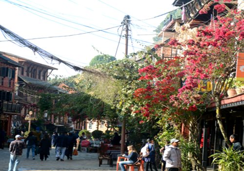 बन्दीपुरको मौलिकता जोगाउन गाउँपालिकाको कडाइ