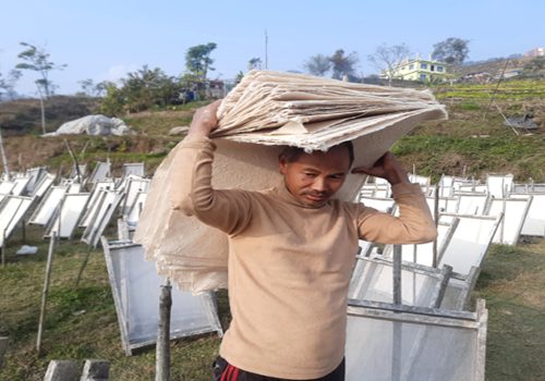 कागज उद्योगमा रमाउँदै पासाङ
