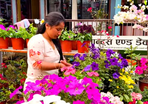 फूल बिक्री गरेरै मासिक दुई लाख आम्दानी
